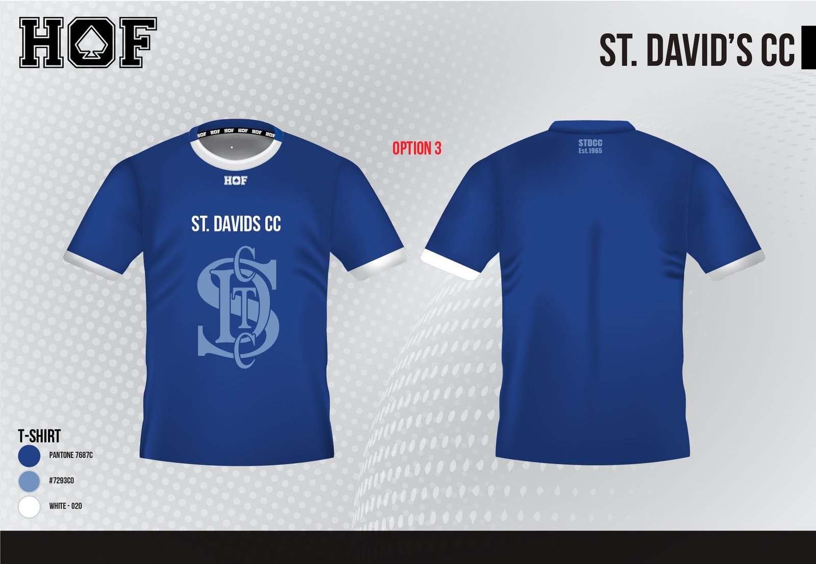 HOF-St-Davids-CC-24-07-25-20.jpg St David's CC Junior / Kids SS Training tee (No Name or Number Allowed) - Image 1