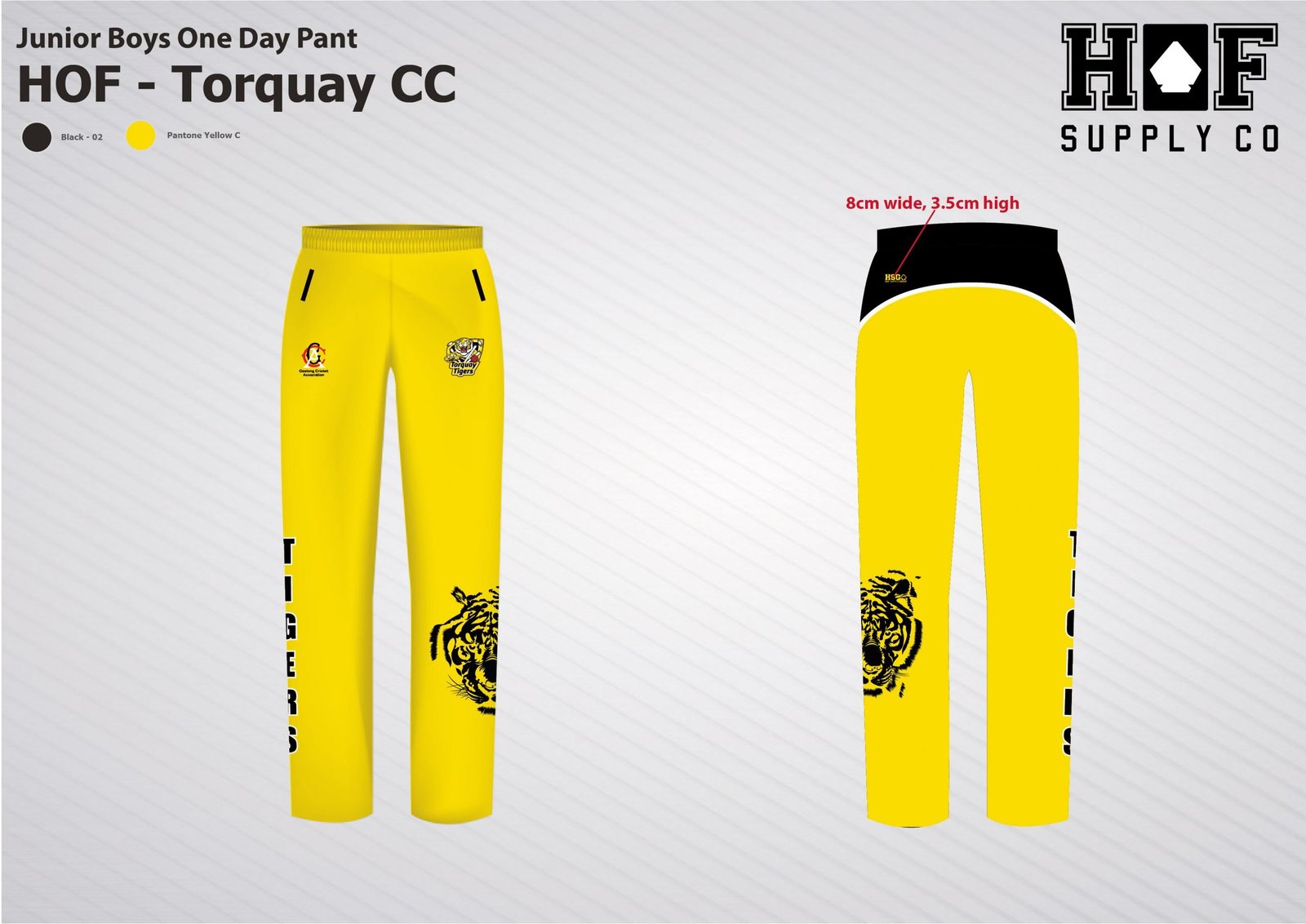 HOF-Torquay-Cricket-Club-22-08-20-15-scaled-1.jpg BOYS - Yellow pant - Image 1