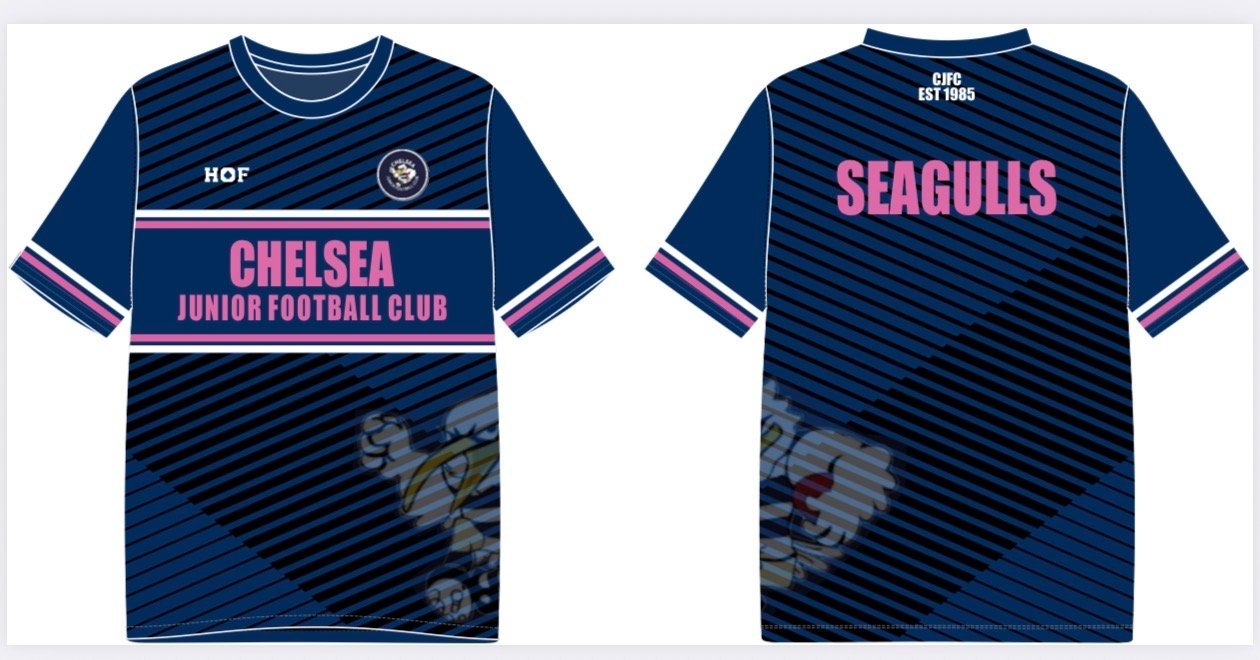 Screenshot Chelsea JFC PINK training tee -WS - Image 1