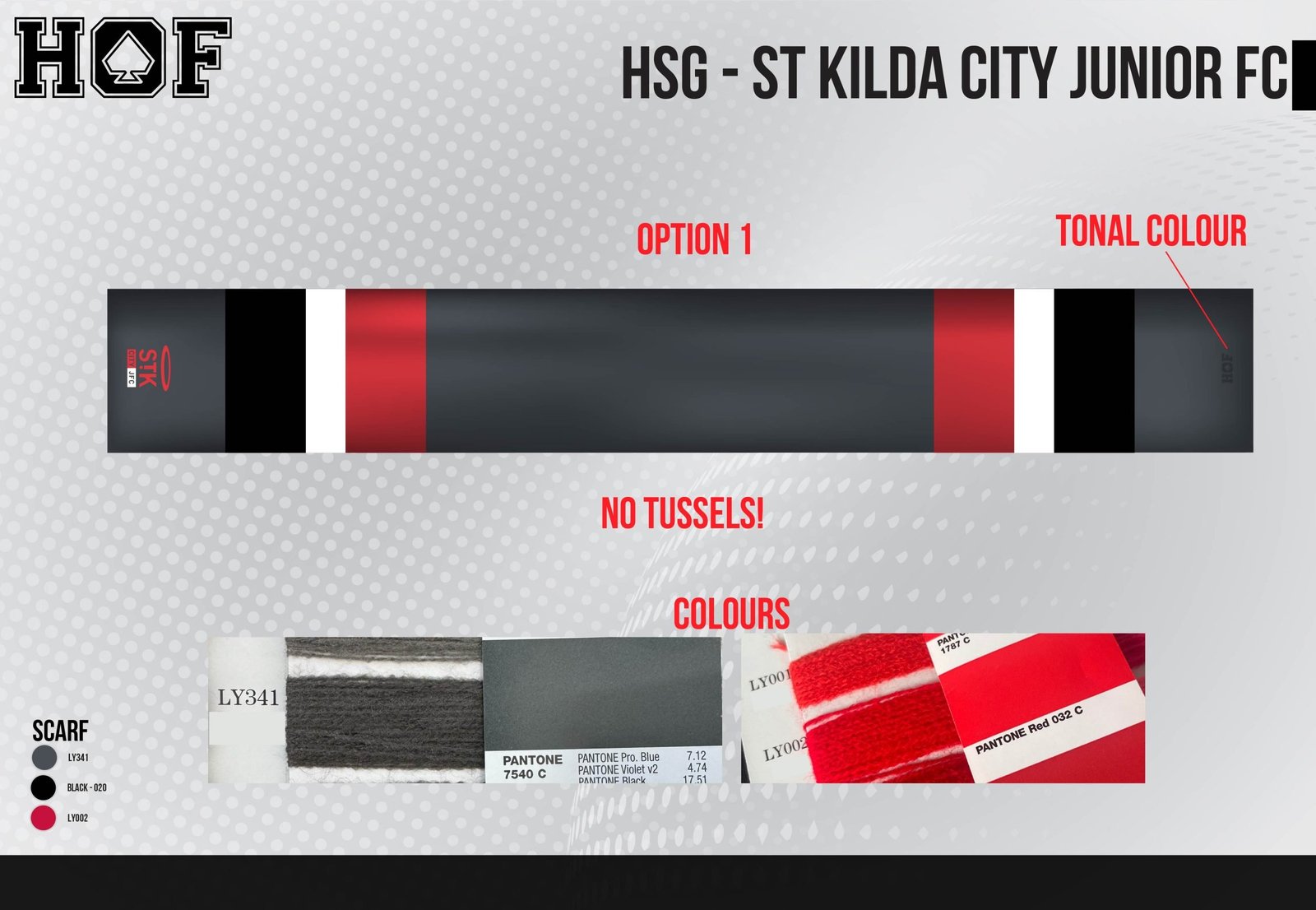 SLG-St-Kilda-City-Junior-FC-08-04-24-01-scaled-1.jpg STCJFC Fashion Club Scarf - Image 1