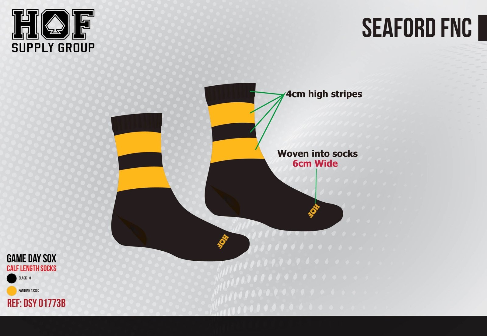 Seaford-FNC-2024-2025-27-09-24-11-scaled-1.jpg SFNC Custom Playing Socks - Short - Image 1