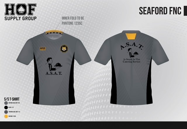 HOF - Seaford FNC 06-10-23 SFNC Grey Training SS Tee - WS - Image 1
