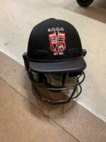 Shrey Custom Club Helmet - Titanium - Wholesale