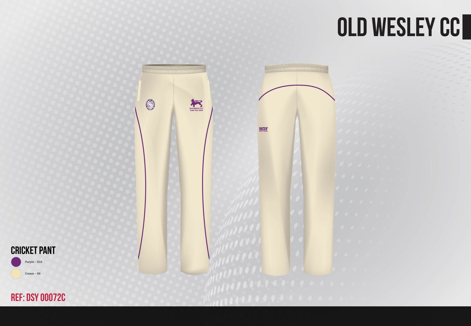 Unknown-scaled-2.jpeg Cream Playing Pant INDIA TOUR 2024 - Image 1